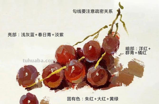 色彩葡萄 色彩葡萄怎么调色