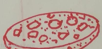 简笔画点什么 学会画小动物的简笔画？
