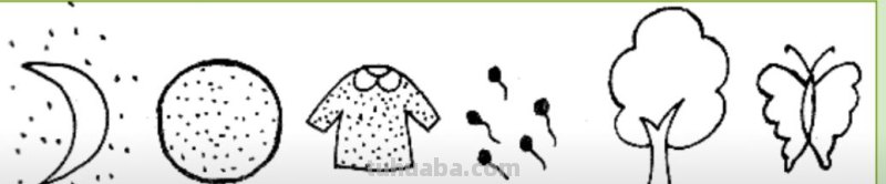 简笔画点什么 学会画小动物的简笔画？