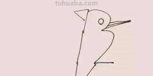 简笔画点什么 学会画小动物的简笔画？