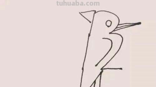 简笔画点什么 学会画小动物的简笔画？