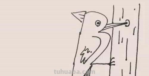 简笔画点什么 学会画小动物的简笔画？