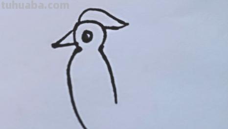 简笔画点什么 学会画小动物的简笔画？