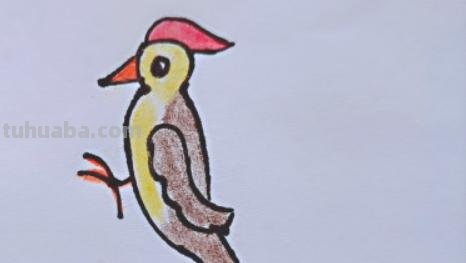 简笔画点什么 学会画小动物的简笔画？