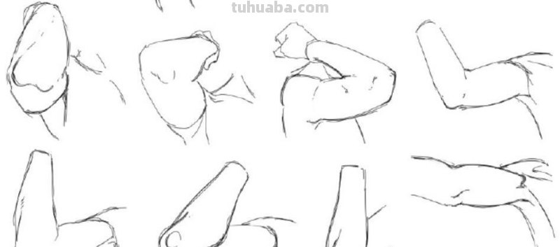 肘部画法 肘部怎么画