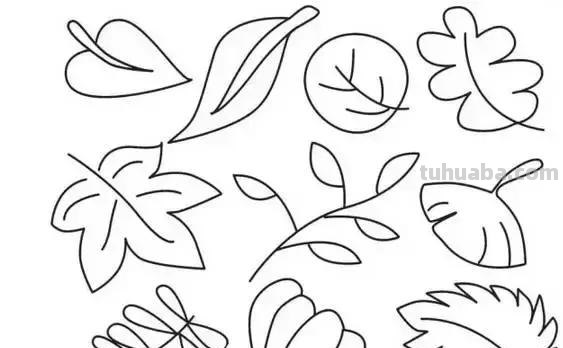 简笔画｜花朵树木简笔画系列，简单好画，一学就会，为宝宝收藏