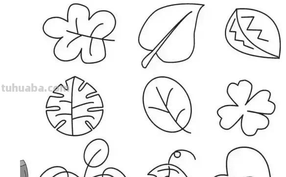 简笔画｜花朵树木简笔画系列，简单好画，一学就会，为宝宝收藏
