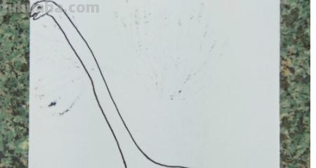 什么龙简笔画 喷火龙简笔画？