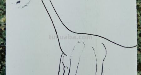 什么龙简笔画 喷火龙简笔画？