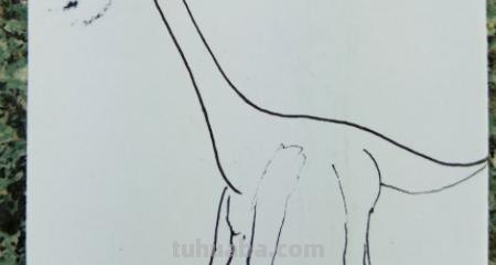 什么龙简笔画 喷火龙简笔画？