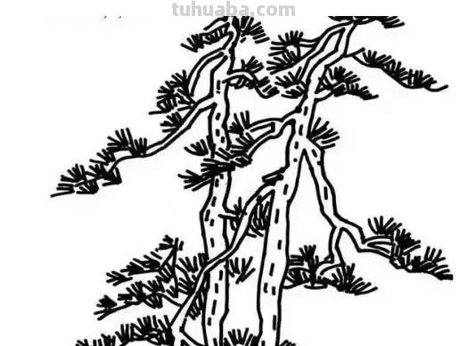 简笔画｜花朵树木简笔画系列，简单好画，一学就会，为宝宝收藏