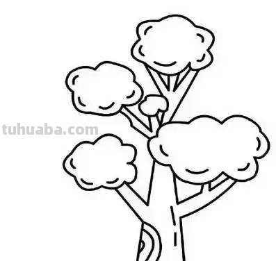 简笔画｜花朵树木简笔画系列，简单好画，一学就会，为宝宝收藏
