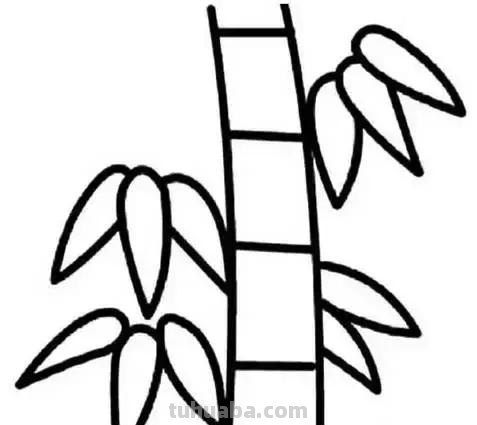 简笔画｜花朵树木简笔画系列，简单好画，一学就会，为宝宝收藏