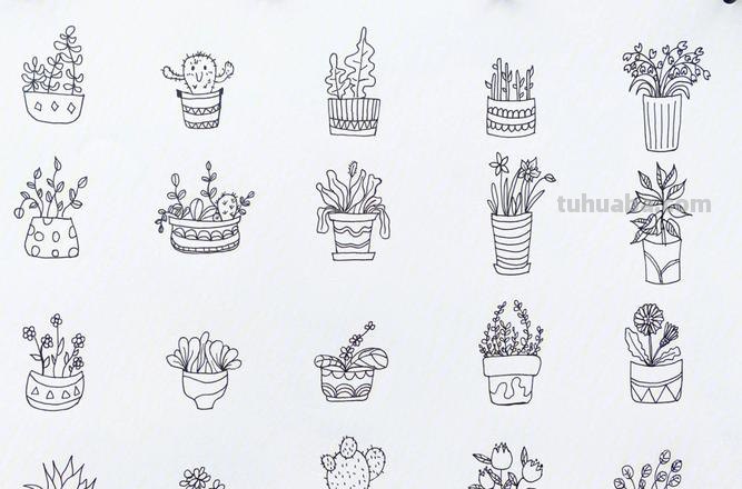 绿植简笔画素材，看看有你喜欢的吗？