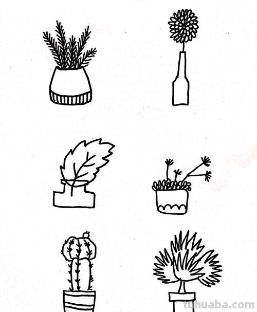 绿植简笔画素材，看看有你喜欢的吗？