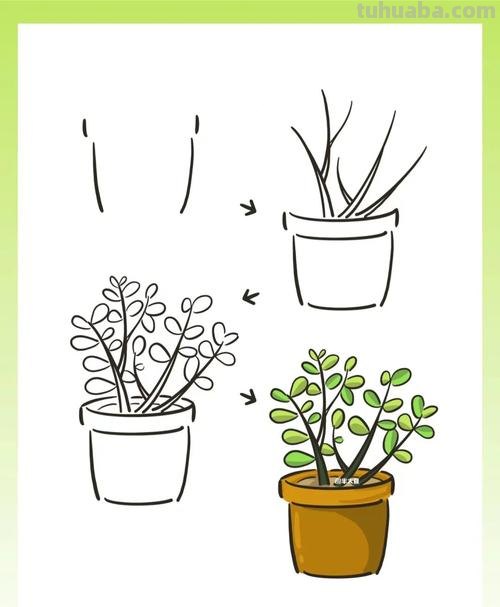 绿植简笔画素材，看看有你喜欢的吗？