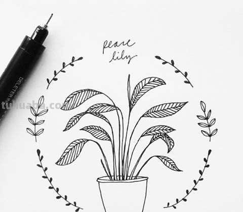 绿植简笔画素材，看看有你喜欢的吗？