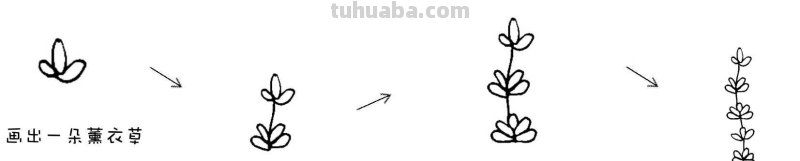 干货！8种常见花卉简笔画，学习绘画必备好素材