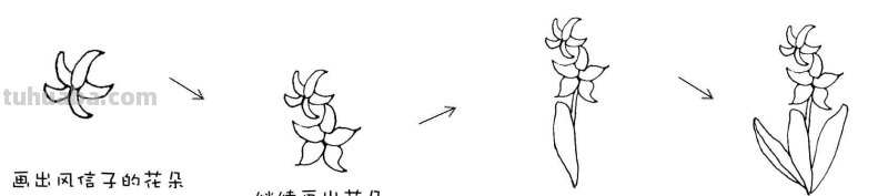 干货！8种常见花卉简笔画，学习绘画必备好素材
