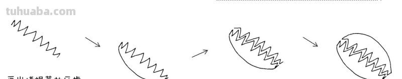 干货！8种常见花卉简笔画，学习绘画必备好素材