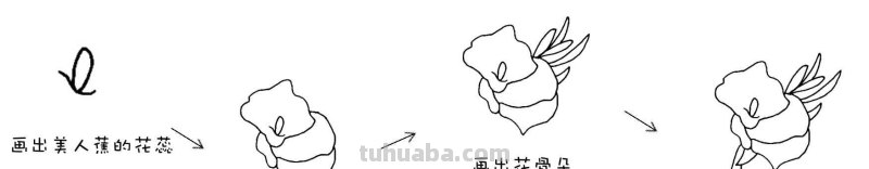 干货！8种常见花卉简笔画，学习绘画必备好素材