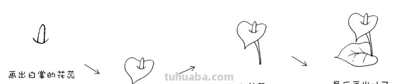 干货！8种常见花卉简笔画，学习绘画必备好素材