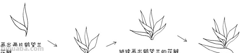 干货！8种常见花卉简笔画，学习绘画必备好素材