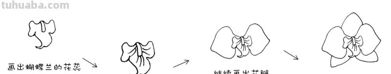 干货！8种常见花卉简笔画，学习绘画必备好素材
