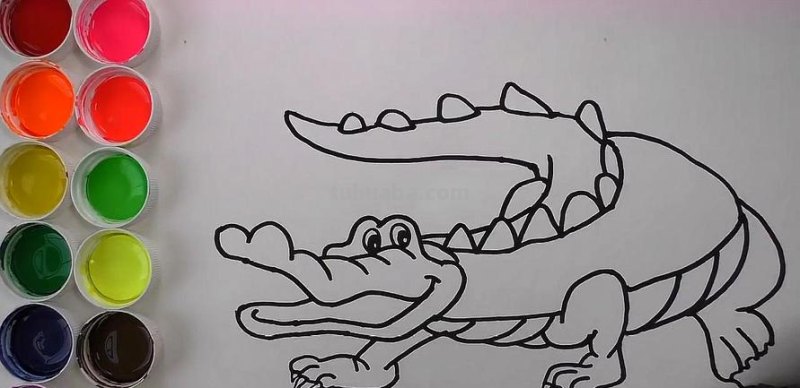 鳄鱼头速写 鳄鱼画法教程。怎么画鳄鱼，如何画鳄鱼？简笔画？