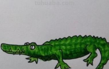 鳄鱼头速写 鳄鱼画法教程。怎么画鳄鱼，如何画鳄鱼？简笔画？