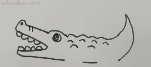 鳄鱼头速写 鳄鱼画法教程。怎么画鳄鱼，如何画鳄鱼？简笔画？