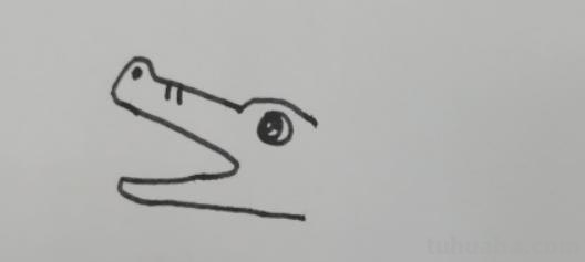 鳄鱼头速写 鳄鱼画法教程。怎么画鳄鱼，如何画鳄鱼？简笔画？