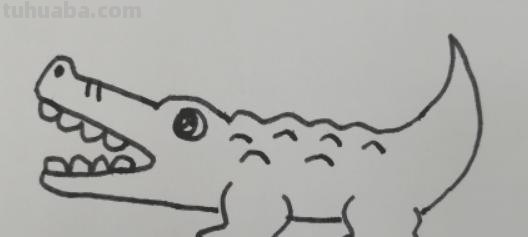 鳄鱼头速写 鳄鱼画法教程。怎么画鳄鱼，如何画鳄鱼？简笔画？
