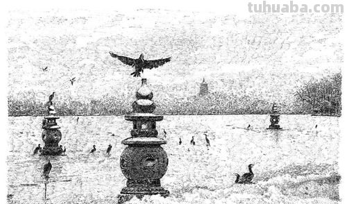 西湖湖边速写 用白描手法写西湖雪景?