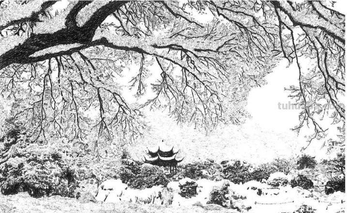 西湖湖边速写 用白描手法写西湖雪景?