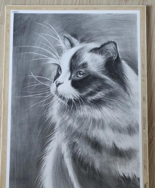 素描图片 素描图片大全简单漂亮