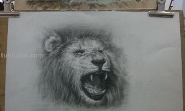 简单漂亮适合初学者的素描图片