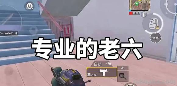 老六表情包怎么画