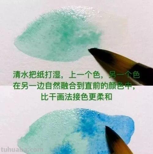 建议收藏 - 0基础必备，水彩基础技法之涂色方法