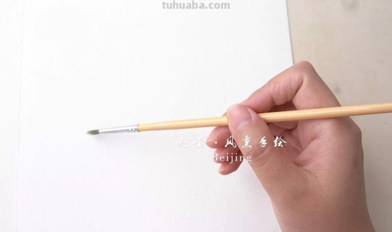 建议收藏 - 0基础必备，水彩基础技法之涂色方法