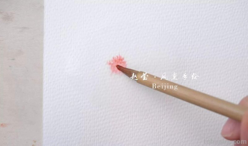 建议收藏 - 0基础必备，水彩基础技法之涂色方法