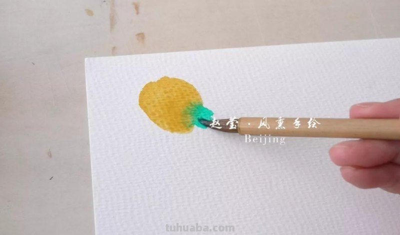 建议收藏 - 0基础必备，水彩基础技法之涂色方法