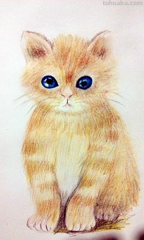 小猫怎么画彩铅画图片 彩色铅笔画可爱的小猫咪的教程详细步骤?