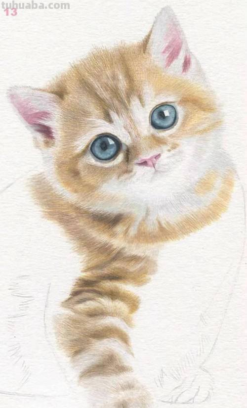 小猫怎么画彩铅画图片 彩色铅笔画可爱的小猫咪的教程详细步骤?