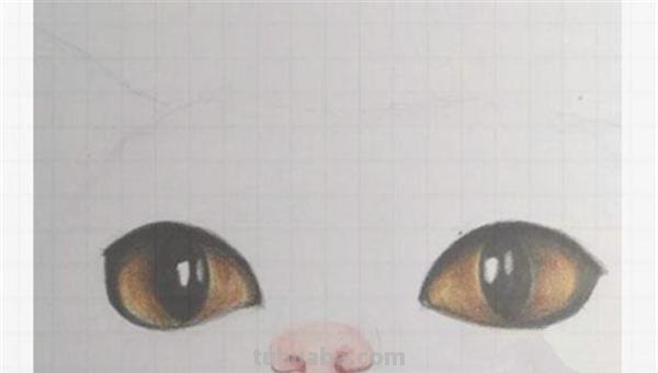 小猫怎么画彩铅画图片 彩色铅笔画可爱的小猫咪的教程详细步骤？