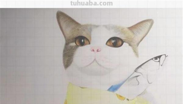小猫怎么画彩铅画图片 彩色铅笔画可爱的小猫咪的教程详细步骤？