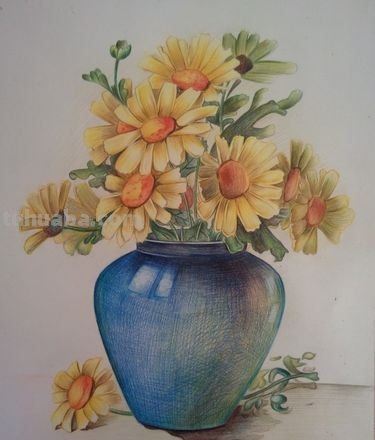 绘画素材｜单个静物彩铅画，每一张都是临摹的好素材