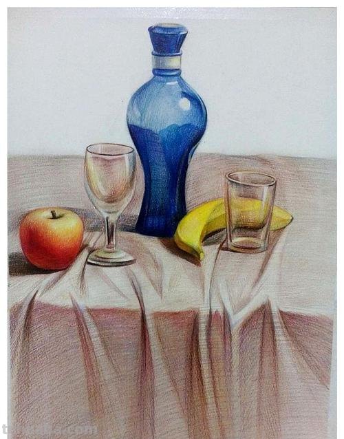 绘画素材｜单个静物彩铅画，每一张都是临摹的好素材