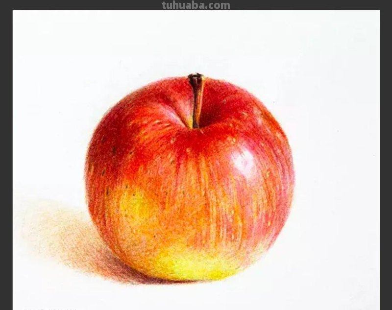 绘画素材｜单个静物彩铅画，每一张都是临摹的好素材