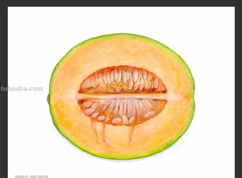 绘画素材｜单个静物彩铅画，每一张都是临摹的好素材